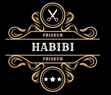 Webdesign Lübeck SEO Lübeck Northbay Digital & Design Friseur Habibi Logo