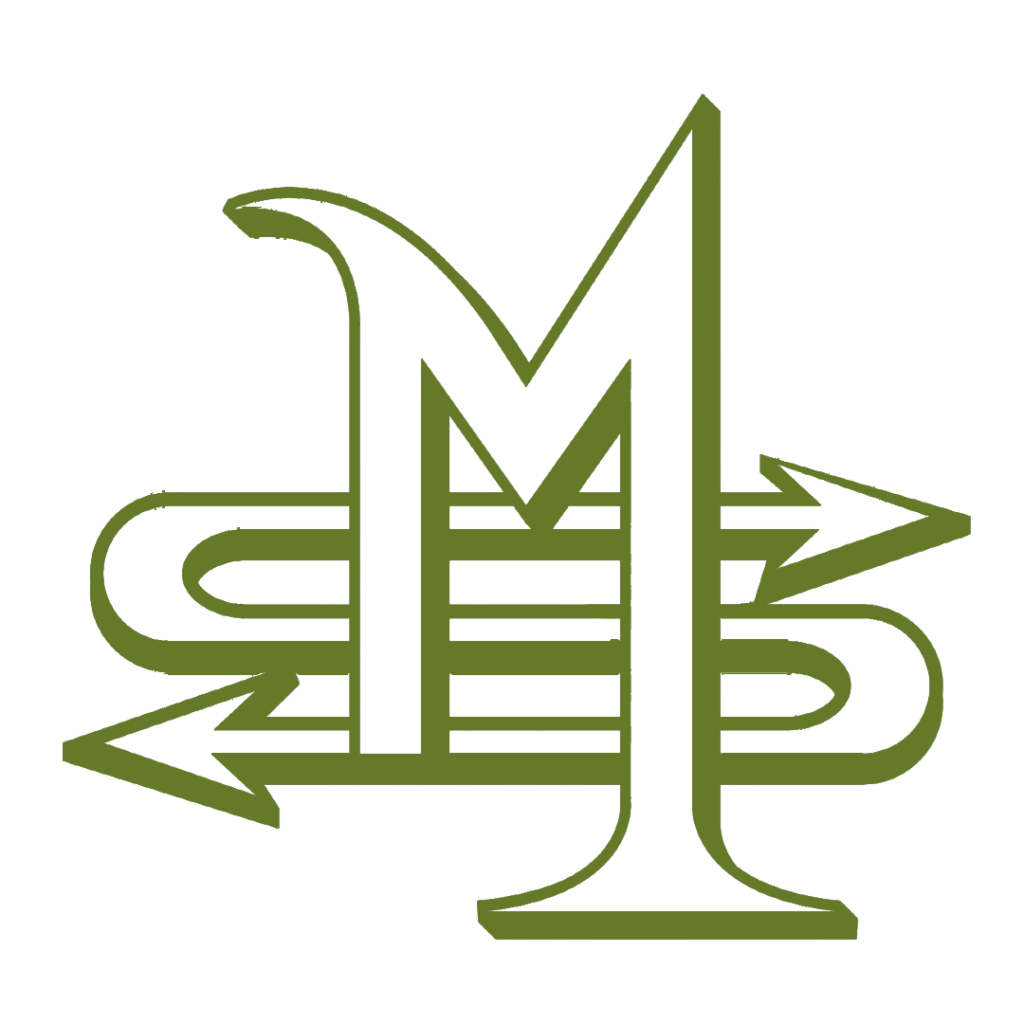 Logo Maurice-Schulz-Mehr-Performance Webdesign Lübeck SEO Lübeck Northbay Digital & Design Logo Maurice-Schulz-Mehr-Performance